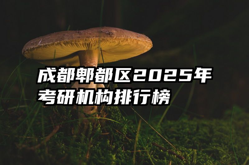 成都郫都区2025年考研机构排行榜