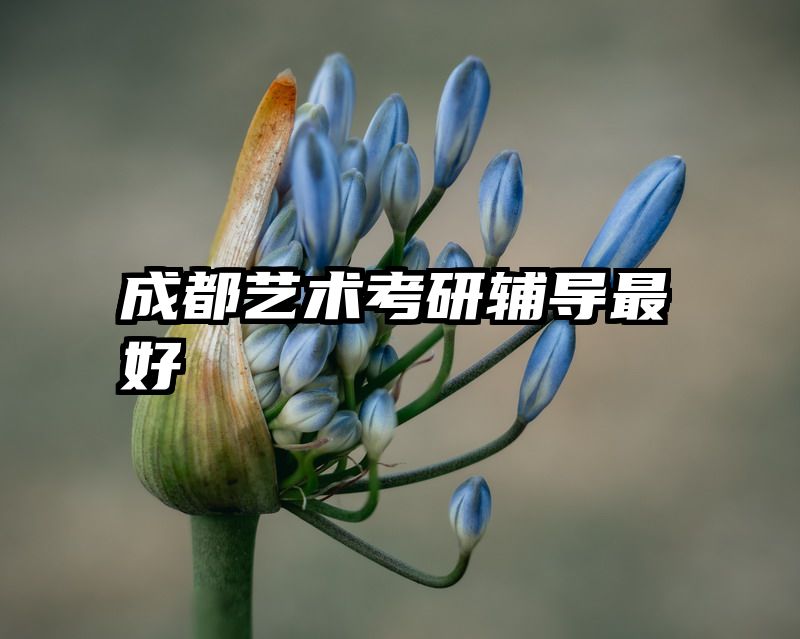 成都艺术考研辅导最好
