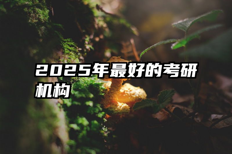 2025年最好的考研机构