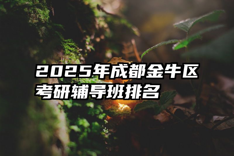 2025年成都金牛区考研辅导班排名