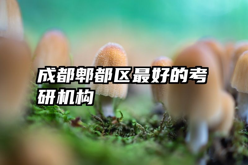 成都郫都区最好的考研机构