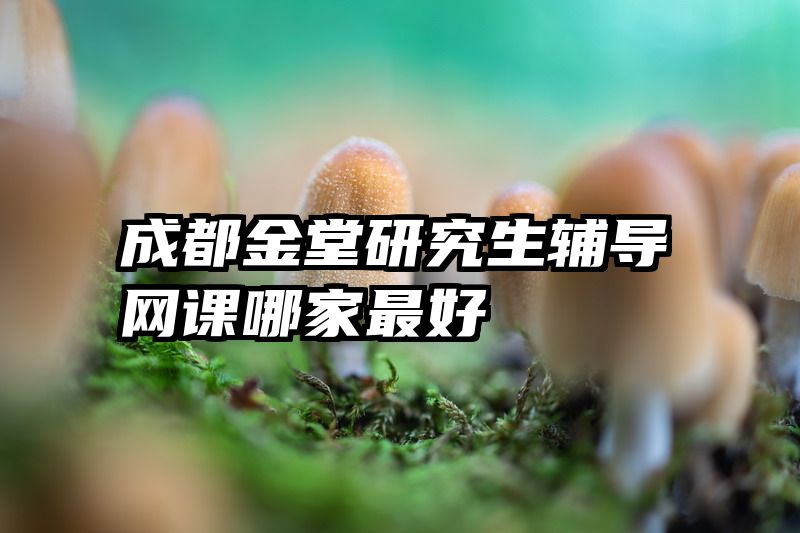 成都金堂研究生辅导网课哪家最好