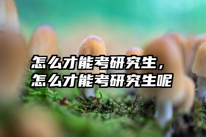 怎么才能考研究生，怎么才能考研究生呢