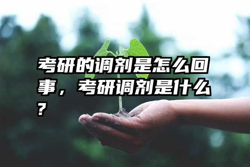 考研的调剂是怎么回事，考研调剂是什么?