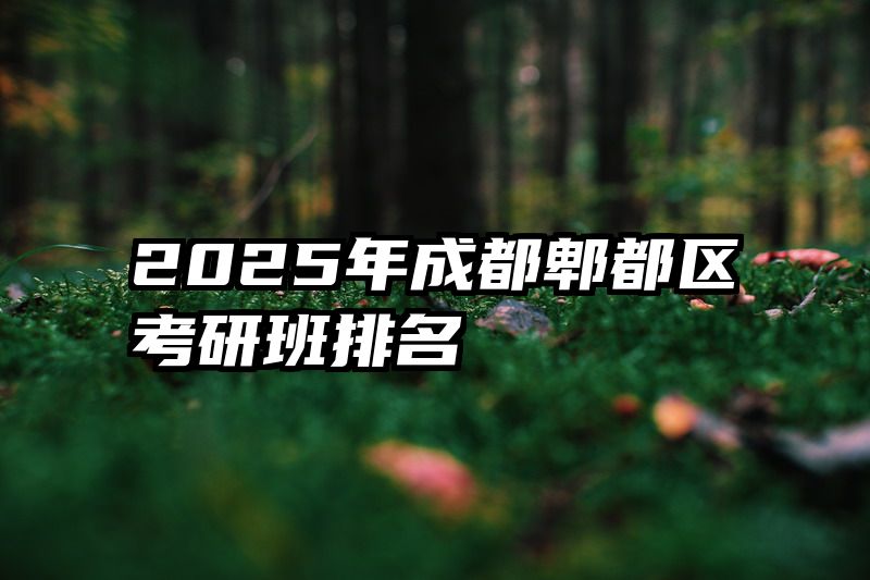 2025年成都郫都区考研班排名