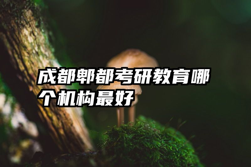 成都郫都考研教育哪个机构最好