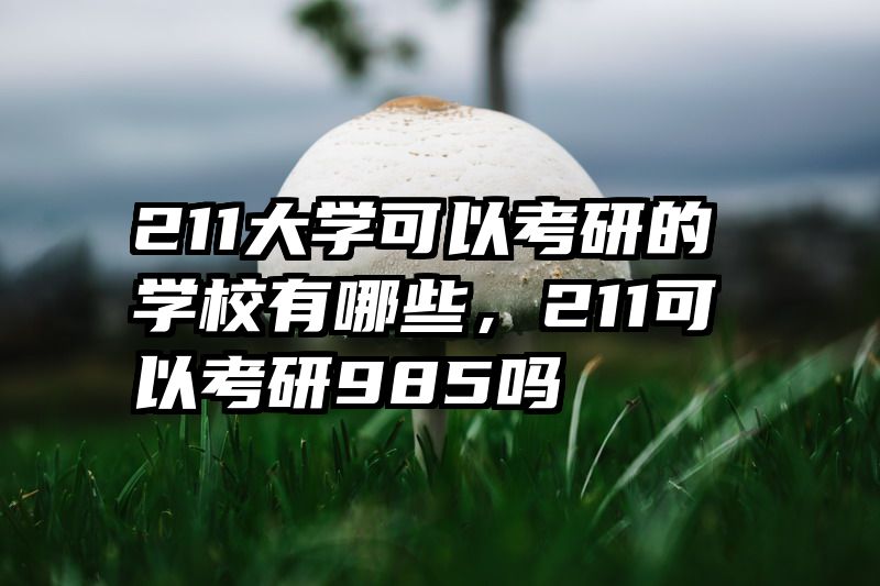 211大学可以考研的学校有哪些，211可以考研985吗