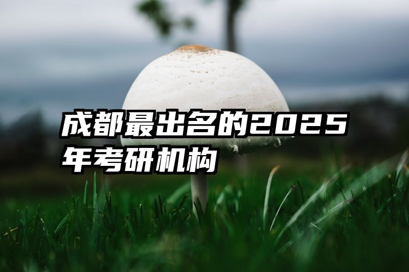 成都最出名的2025年考研机构
