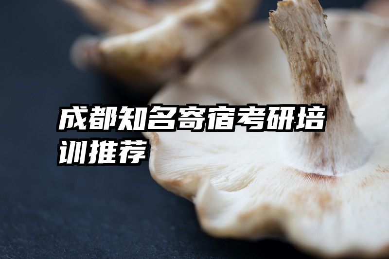 成都知名寄宿考研培训推荐