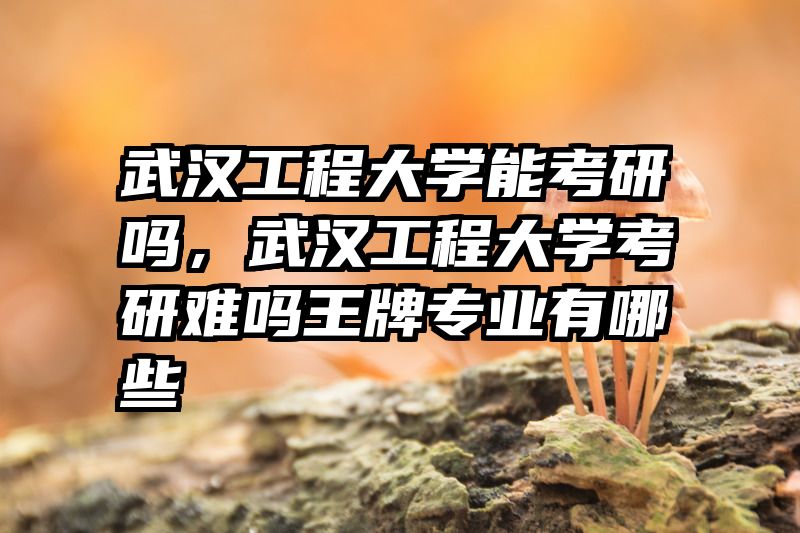 武汉工程大学能考研吗,武汉工程大学考研难吗王牌专业有哪些