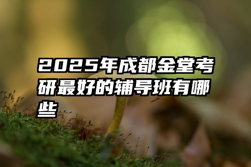 2025年成都金堂考研最好的辅导班有哪些