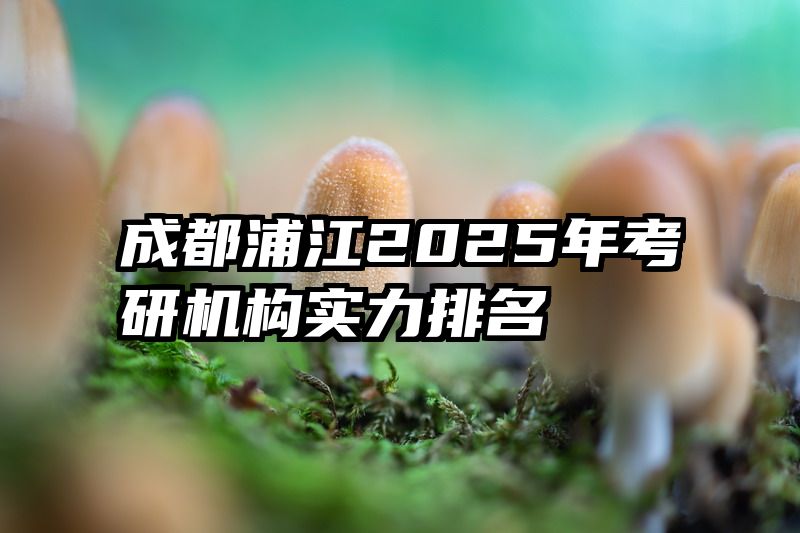 成都浦江2025年考研机构实力排名