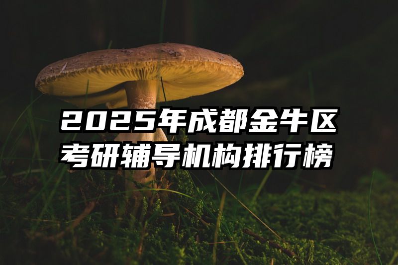 2025年成都金牛区考研辅导机构排行榜
