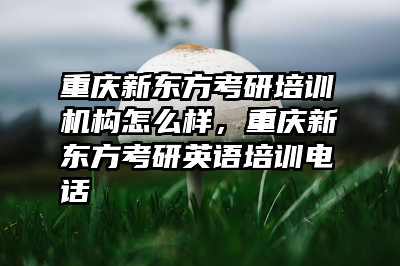 重庆新东方考研培训机构怎么样，重庆新东方考研英语培训电话