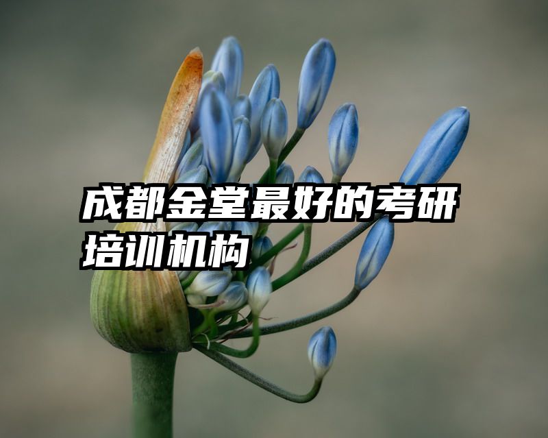 成都金堂最好的考研培训机构
