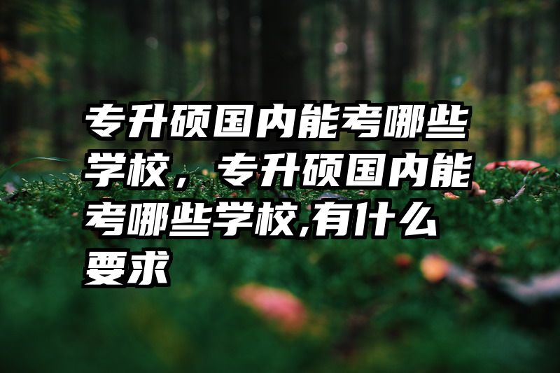 专升硕国内能考哪些学校，专升硕国内能考哪些学校,有什么要求