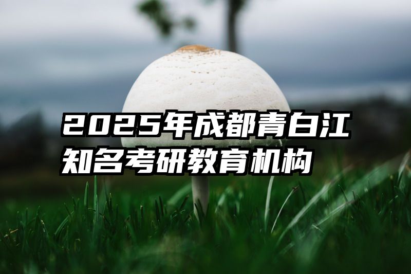 2025年成都青白江知名考研教育机构