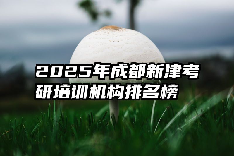 2025年成都新津考研培训机构排名榜