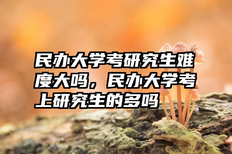 民办大学考研究生难度大吗，民办大学考上研究生的多吗