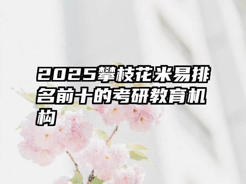 2025攀枝花米易排名前十的考研教育机构