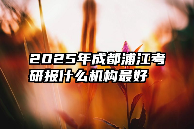2025年成都浦江考研报什么机构最好