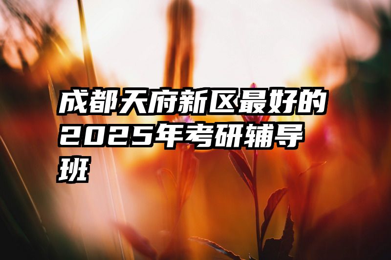 成都天府新区最好的2025年考研辅导班
