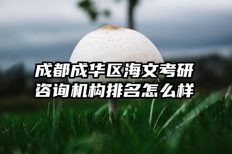 成都成华区海文考研咨询机构排名怎么样