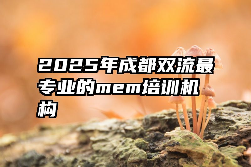 2025年成都双流最专业的mem培训机构