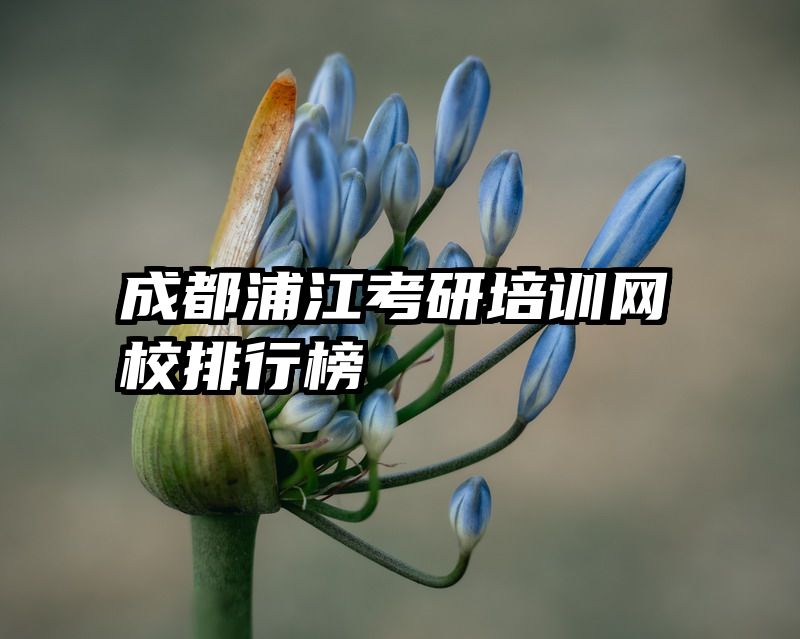 成都浦江考研培训网校排行榜