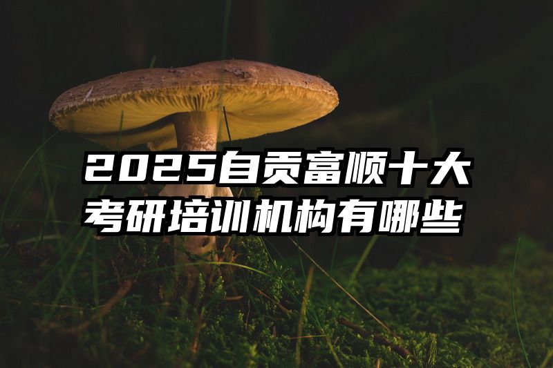 2025自贡富顺十大考研培训机构有哪些
