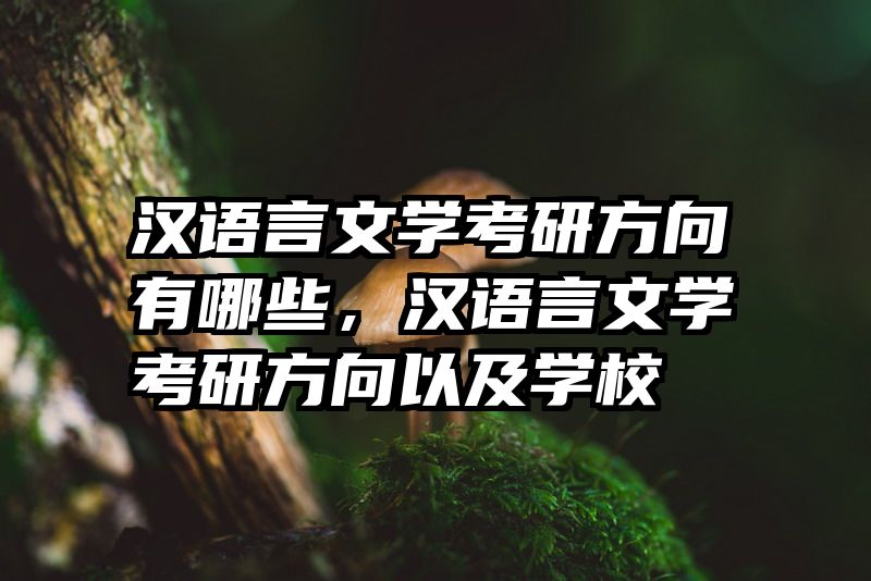汉语言文学考研方向有哪些，汉语言文学考研方向以及学校