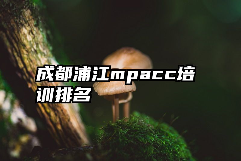 成都浦江mpacc培训排名