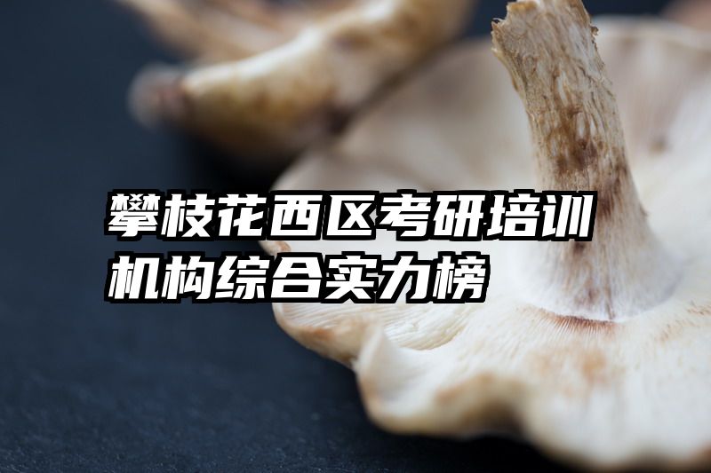 攀枝花西区考研培训机构综合实力榜