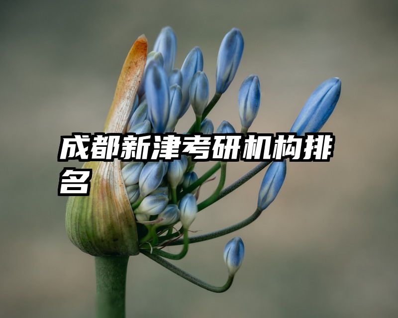 成都新津考研机构排名