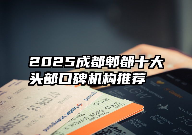 2025成都郫都十大头部口碑机构推荐