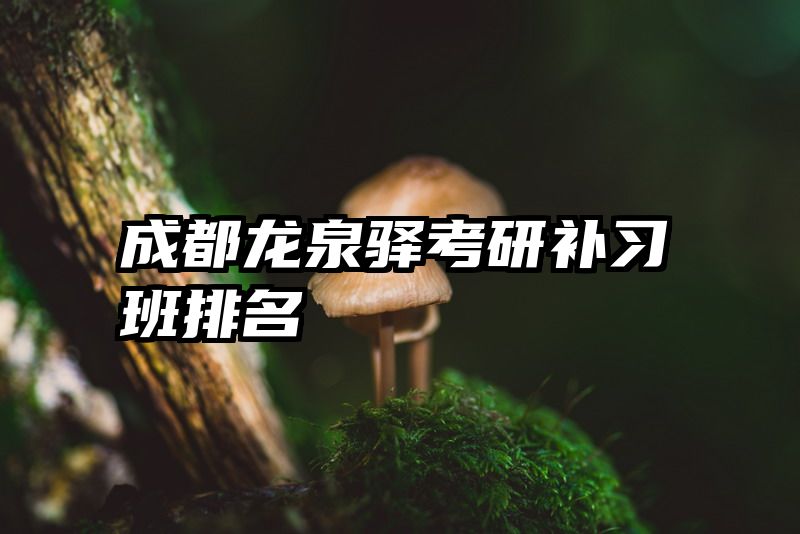 成都龙泉驿考研补习班排名