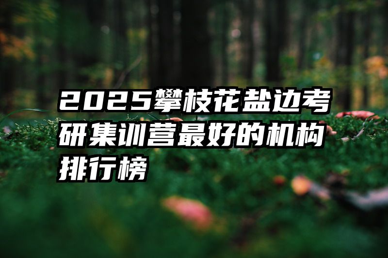 2025攀枝花盐边考研集训营最好的机构排行榜