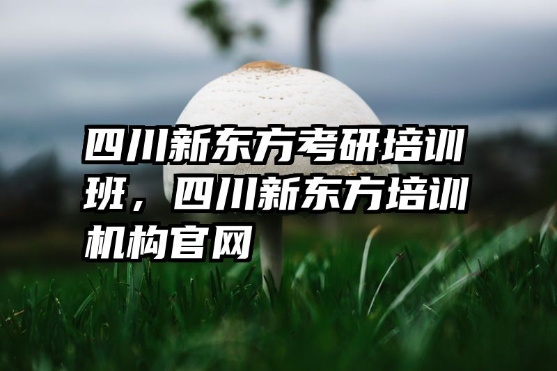 四川新东方考研培训班，四川新东方培训机构官网