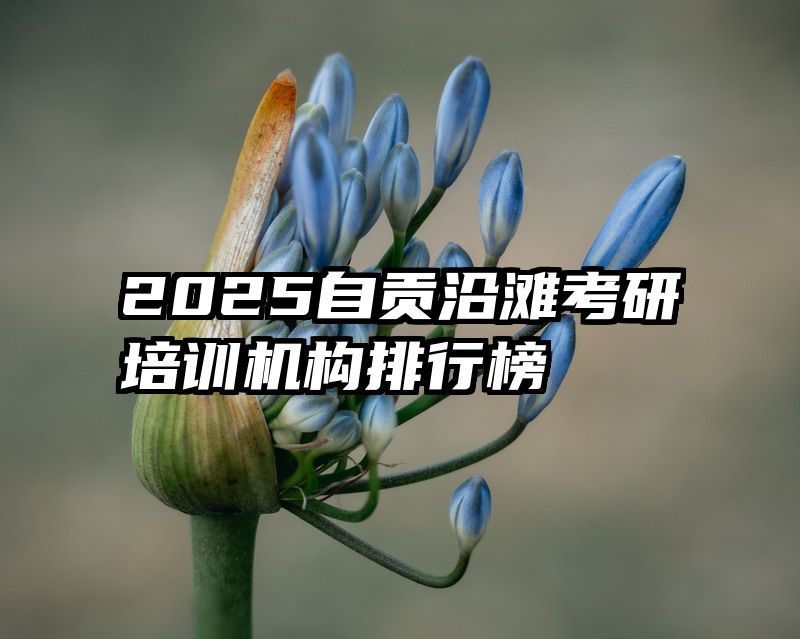 2025自贡沿滩考研培训机构排行榜
