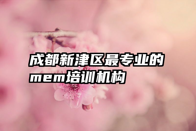 成都新津区最专业的mem培训机构