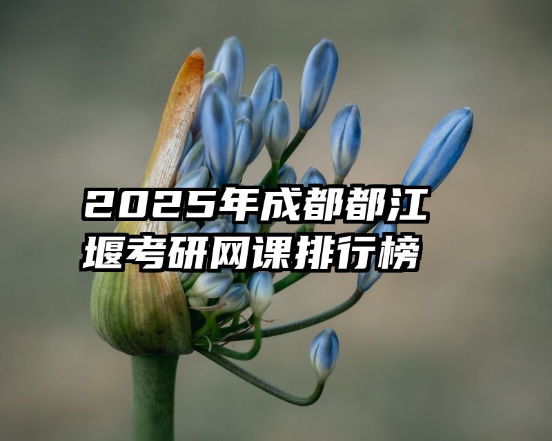 2025年成都都江堰考研网课排行榜