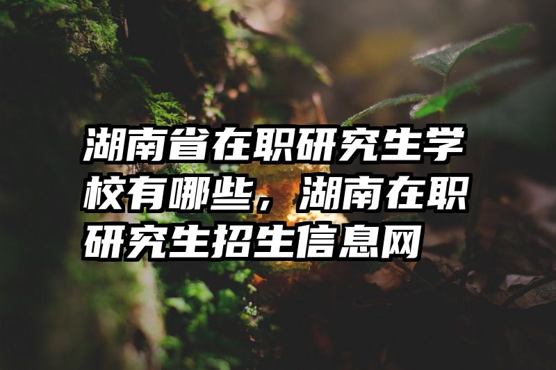 湖南省在职研究生学校有哪些，湖南在职研究生招生信息网