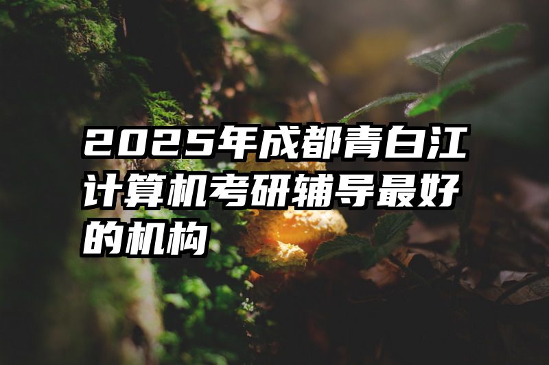 2025年成都青白江计算机考研辅导最好的机构