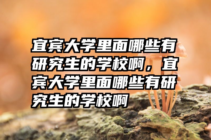 宜宾大学里面哪些有研究生的学校啊，宜宾大学里面哪些有研究生的学校啊