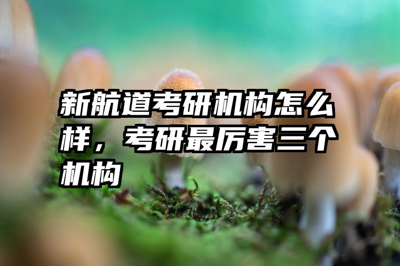 新航道考研机构怎么样，考研最厉害三个机构