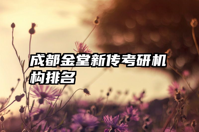 成都金堂新传考研机构排名