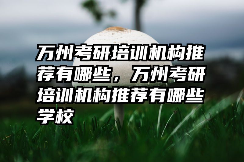 万州考研培训机构推荐有哪些，万州考研培训机构推荐有哪些学校
