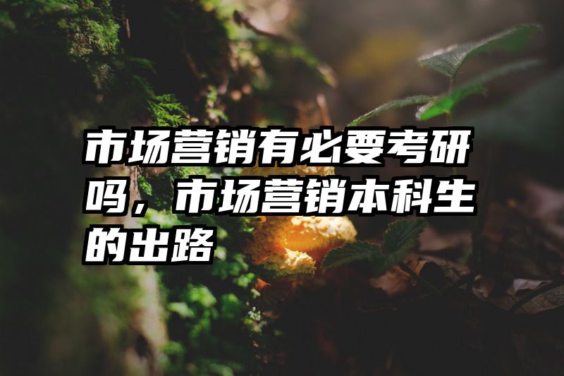 市场营销有必要考研吗，市场营销本科生的出路