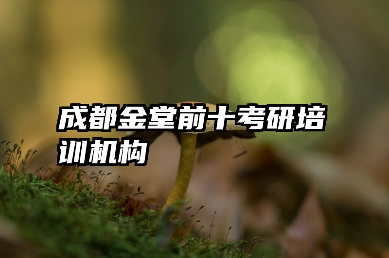 成都金堂前十考研培训机构