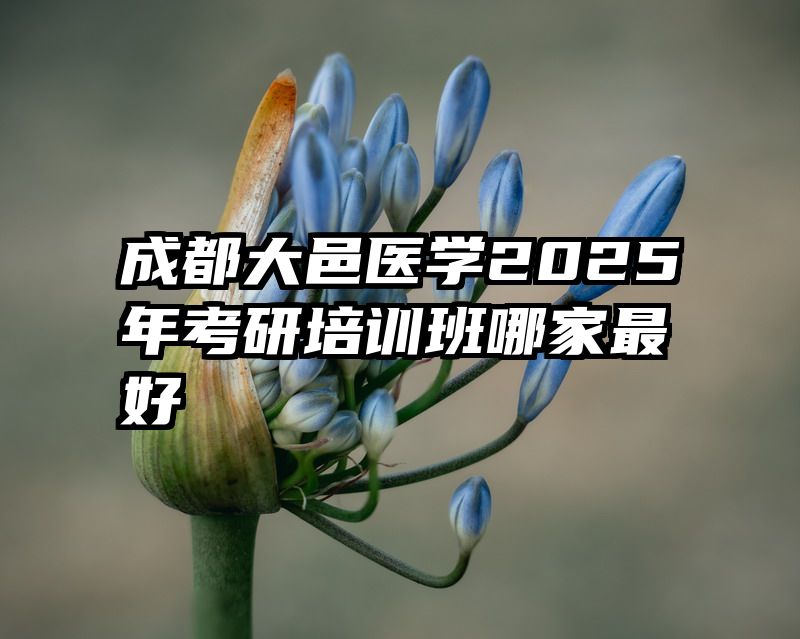 成都大邑医学2025年考研培训班哪家最好
